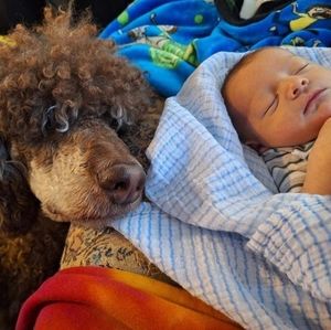 Meet your Posher, Vernon